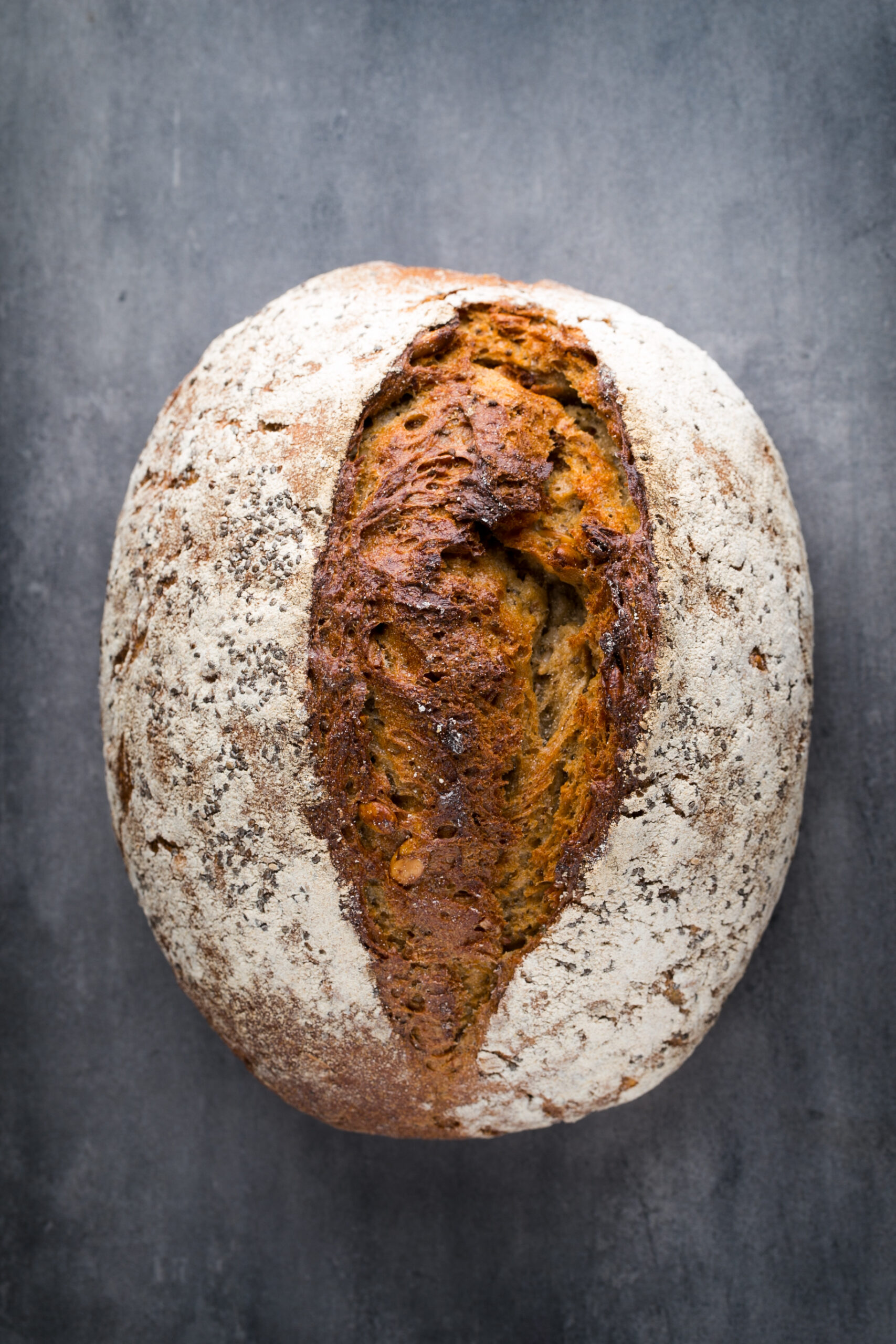 Rye fresh bread on he gray background.